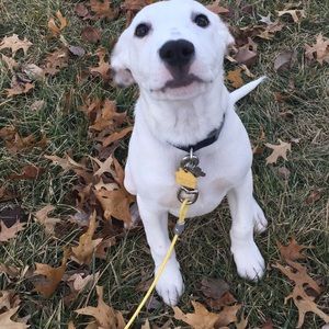 Meet your Posher, Genevieve